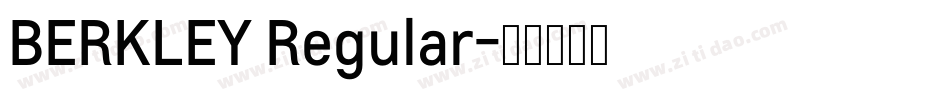 BERKLEY Regular字体转换